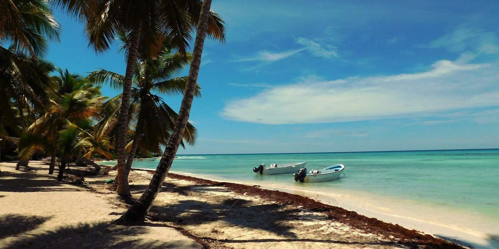 All-Inclusive Saona Island Day Trip from Punta Cana - Image 5