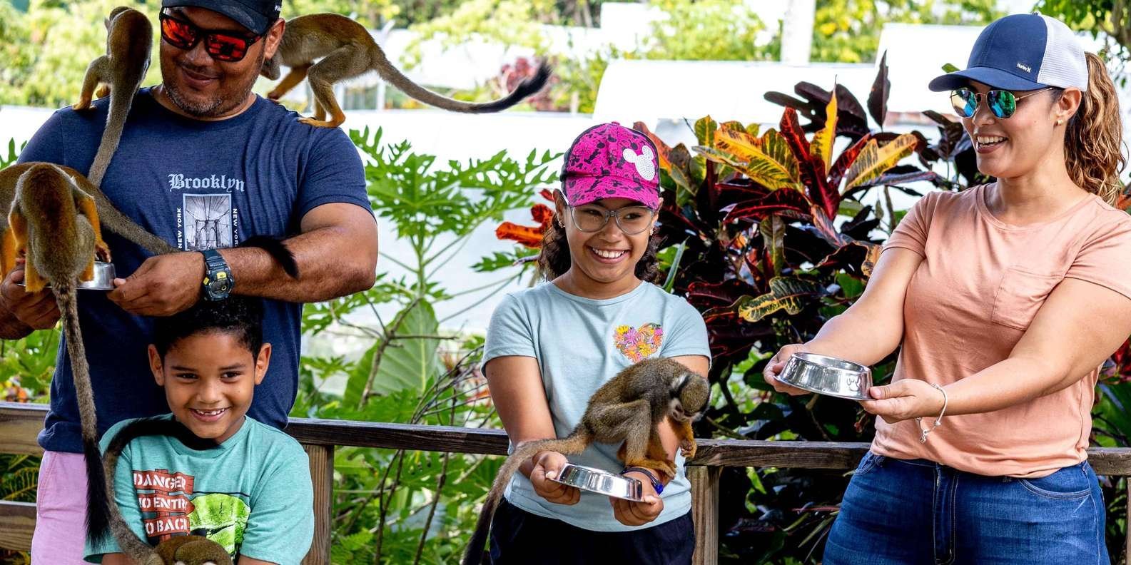 Samaná: Monkeyland and Open-Air Safari Truck Tour - Image 5