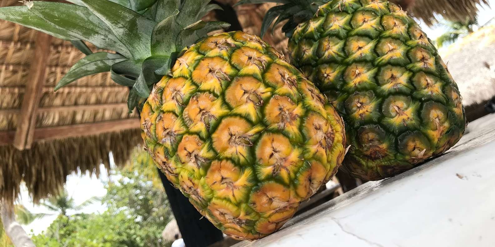 Punta Cana: Saona Island Day Trip - Image 5