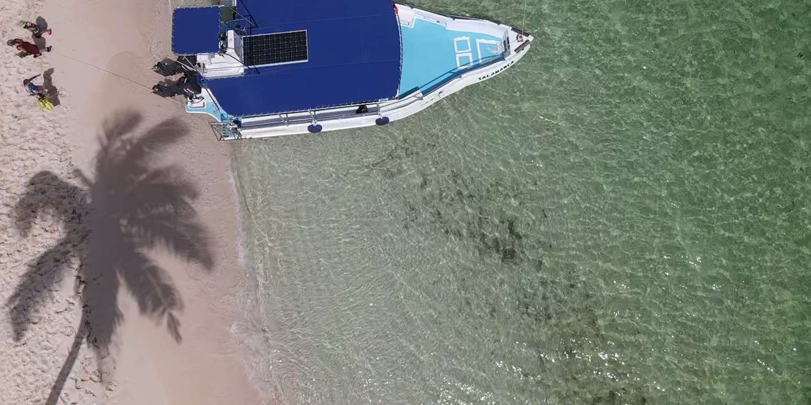 From Punta Cana: Small Group Catalina Island Snorkeling Tour - Image 6