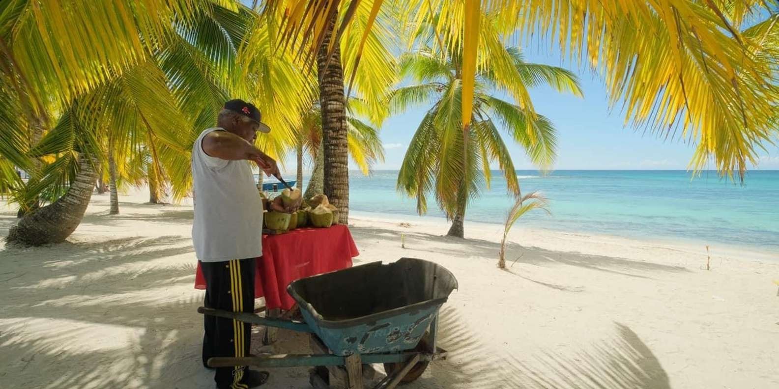 Saona Island Excursion Punta Cana - Image 6