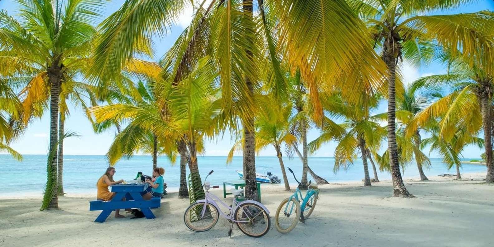 Saona Island Excursion Punta Cana - Image 7