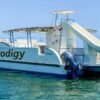 Punta Cana Boat Cruise and Snorkeling with Open Bar - Image 7