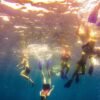 La Romana: Catalina Island Full-Day Snorkeling Tour - Image 7