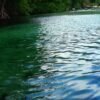 Punta Cana: Playa Rincon, Samana, & Cayo Levantado Day Trip - Image 7