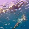 La Romana: Catalina Island Full-Day Snorkeling Tour - Image 8