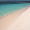 Bahía de las Aguilas: Beach Day Trip by Boat - Image 8