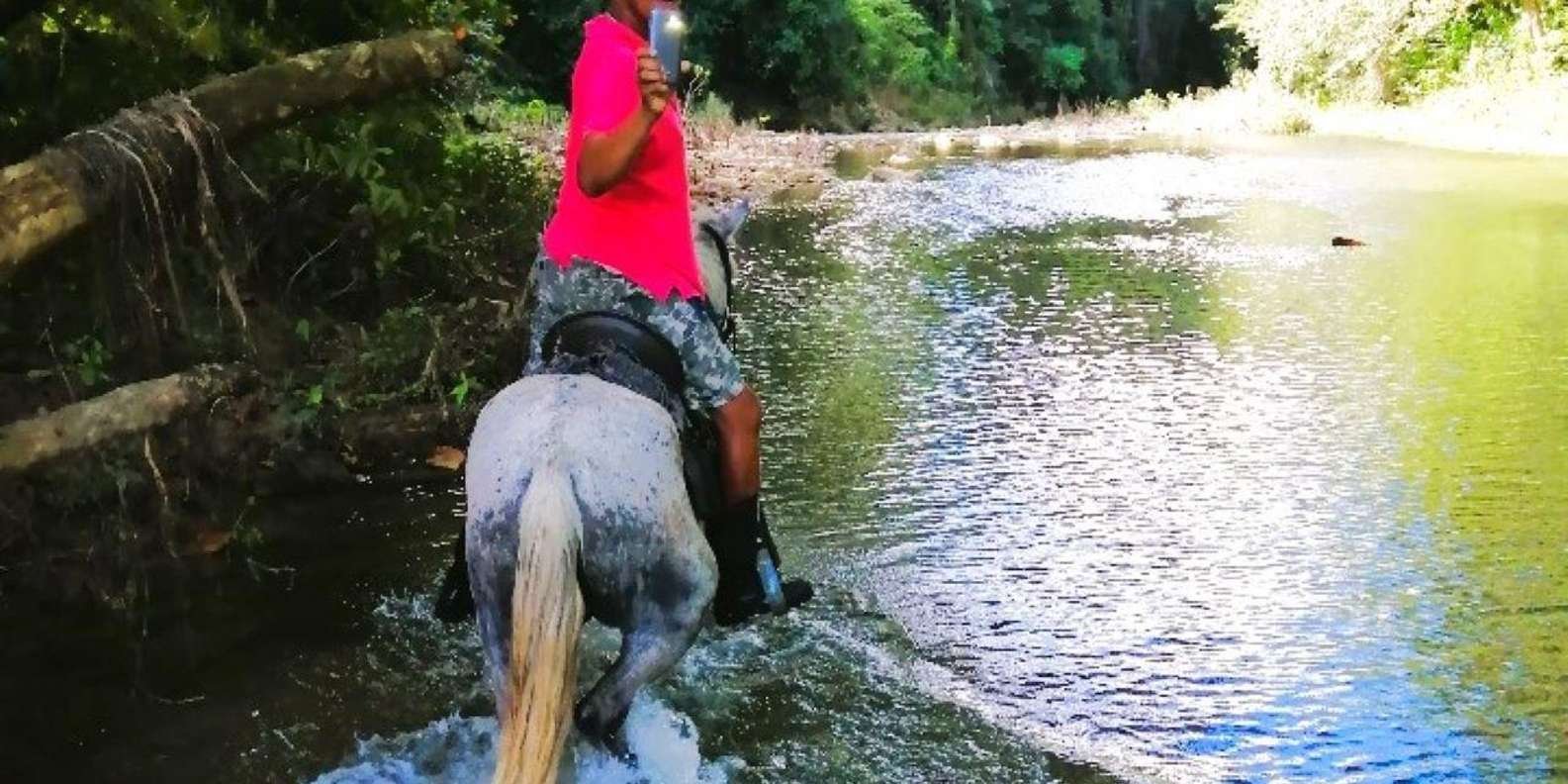 From Puerto Plata: Horseback ride along the mountain river - Image 9