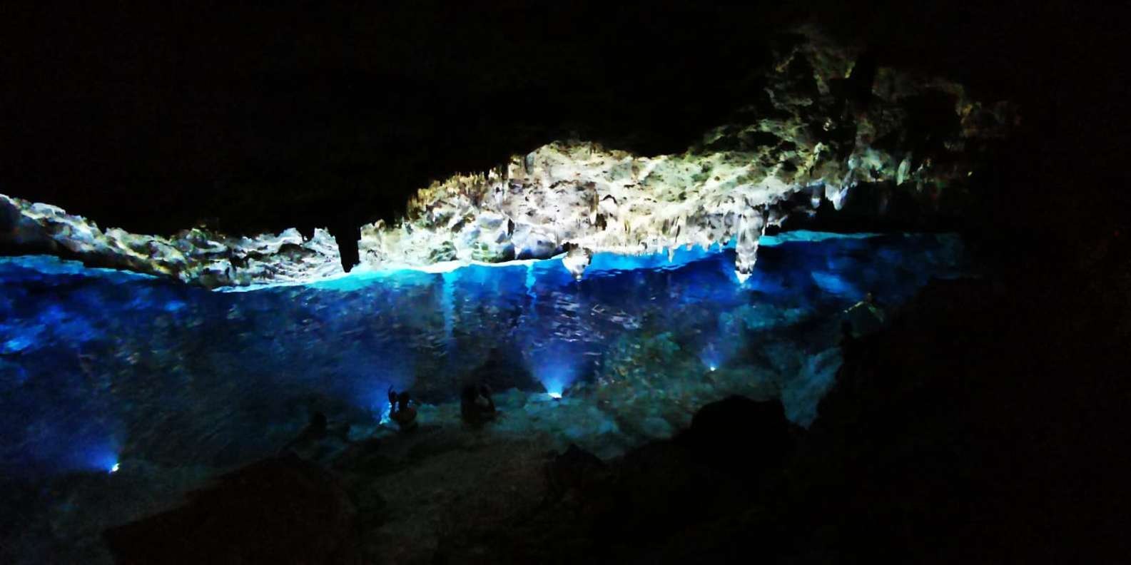 Bayahibe: National Park Jungle Walk & Snorkeling in Cenotes - Image 9