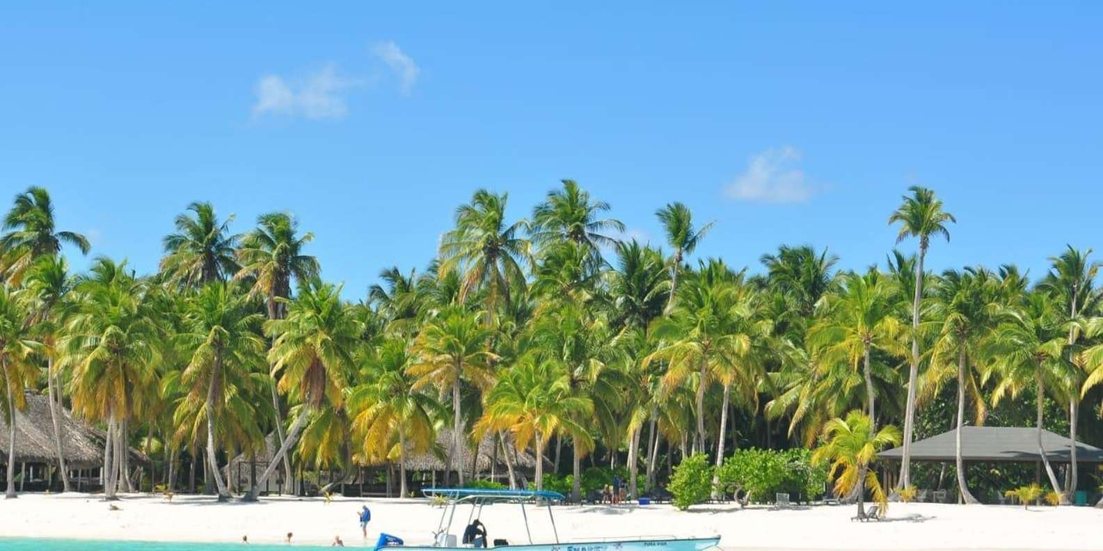 All-Inclusive Saona Island Day Trip from Punta Cana - Image 10
