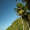 Complete Samaná Tour: Jackson Beach – Hiking, River Ride, and Snorkeling from La Majagua - Image 3