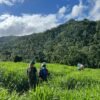 Salto de la Jalda – Horseback & Hiking Adventure From Miches - Image 11